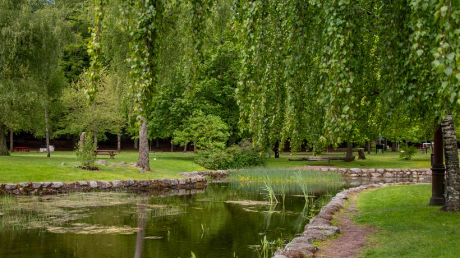 Dammen i Keilers park